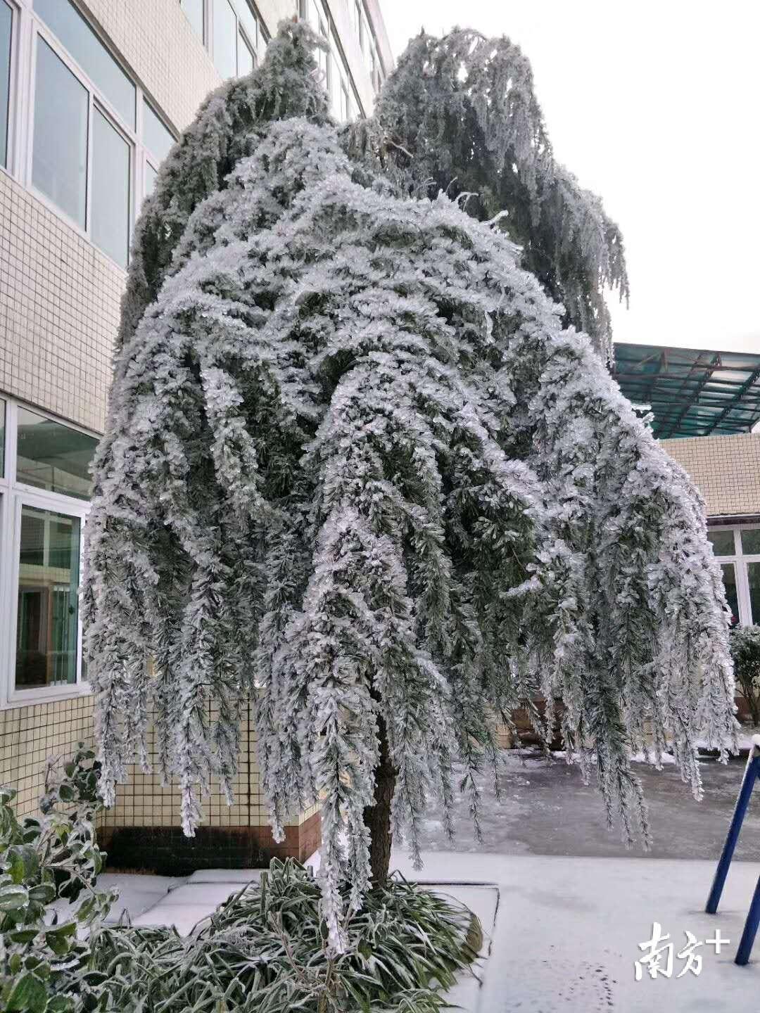 天井山林场的新领导，引领绿色变革的先锋，天井山林场新领导引领绿色变革，成为先锋典范